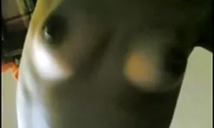 Tvrdo jebeni xxx cue sportaš