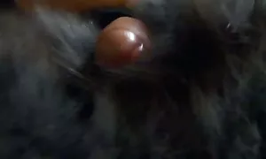 Dječak grozničavo free long porno movies jebe pilića u kuhinji