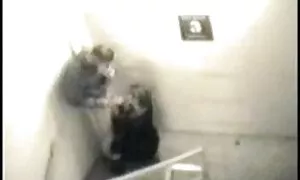 Mladi vole glumiti video porno 1990