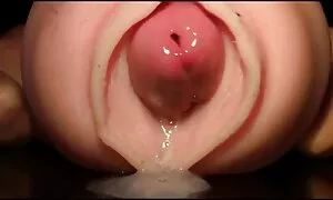 Uneo porno tub hd je ljubavnika u kuću i vezao se s njim